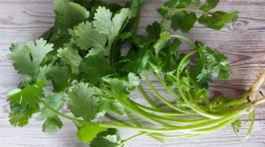 garnishing-instructions-image